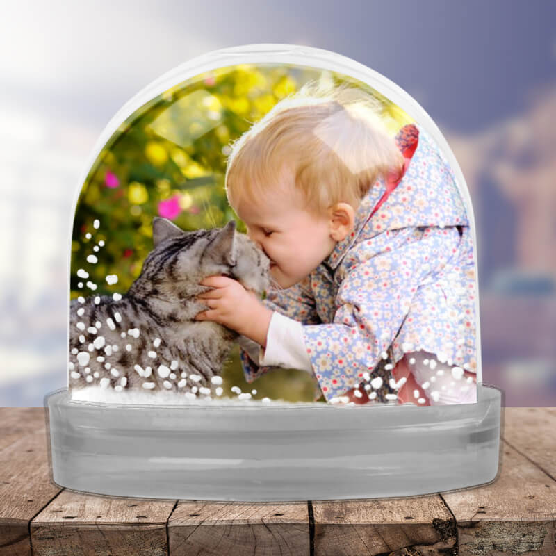 photo snow globe