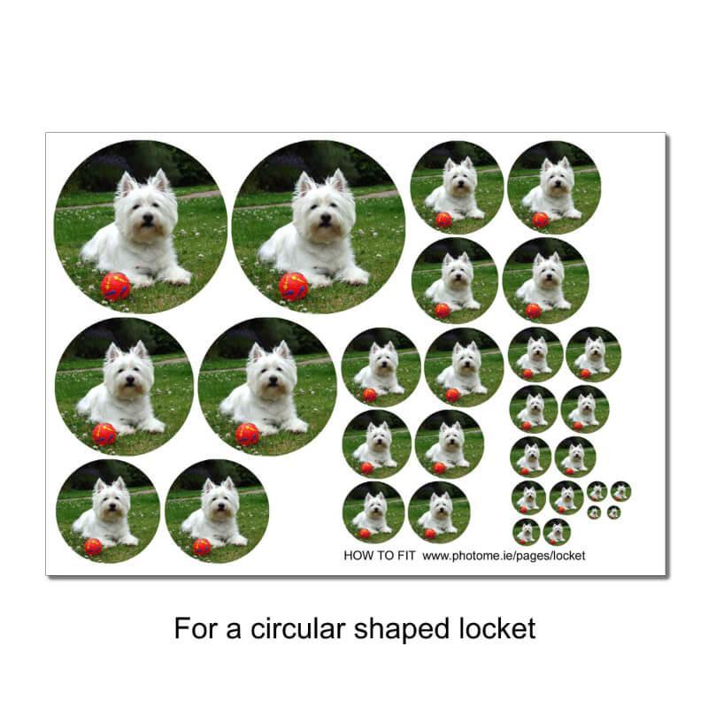 photo for circular shaped locket